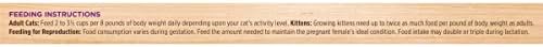 Rachael Ray Nutrish Natural Wet Cat Food, Ocean Lovers Variety Pack, 2.8 Ounce Cup (Pack of 12), Grain Free