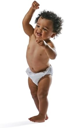 green sprouts Pull-up Reusable Absorbent Swim Diaper, Aqua Simple Dino, 24 Months
