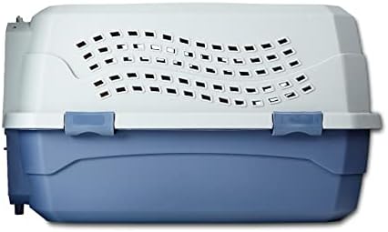 Amazon Basics 2-Door Top-Load Hard-Sided Dogs, Cats Pet Travel Carrier, Gray & Blue, 22.8"L x 15.0"W x 13.0"H