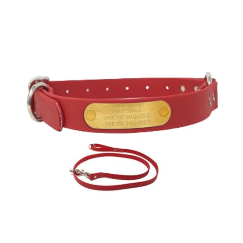 Regal Dog Products Small Red with Custom Engraved Waterproof Dog Collar and Leash Set | Waterproof Dog Collar with D Ring | Center Ring & 5'ft Leash | Matching Dog Collar and Leash for Dogs