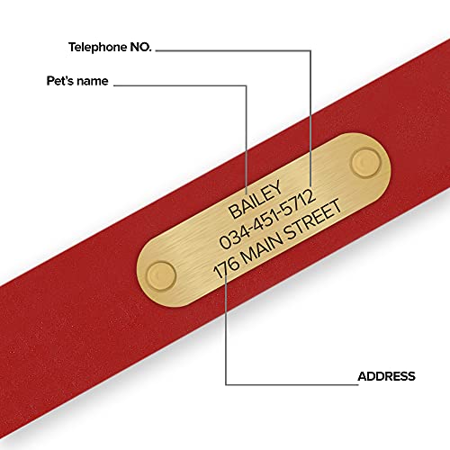 Regal Dog Products Small Red with Custom Engraved Waterproof Dog Collar and Leash Set | Waterproof Dog Collar with D Ring | Center Ring & 5'ft Leash | Matching Dog Collar and Leash for Dogs
