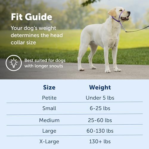 PetSafe Gentle Leader No-Pull Dog Headcollar - The Ultimate Solution to Pulling - Redirects Your Dog's Pulling for Easier Walks - Helps You Regain Control - Large, Charcoal