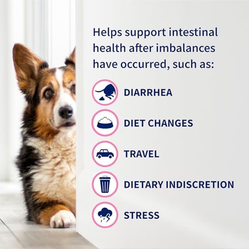 Nutramax Proviable Probiotics for Dogs, Daily Digestive Health Supplement with Multiple Strains of Bacteria, Dog Probiotics Plus Prebiotics, 60 Chewable Tablets