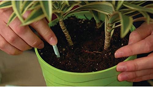 Scotts Indoor Plant Food Spikes, Includes 48 Spikes - Continuous Feeding for all Flowering and Foliage Houseplants - NPK 6-12-6, 48 Count (Pack of 12)