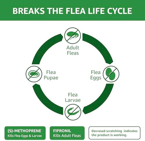 Amazon Basics Flea and Tick Topical Treatment for Cats (Over 1.5 Pounds), 6 Count (Previously Solimo)