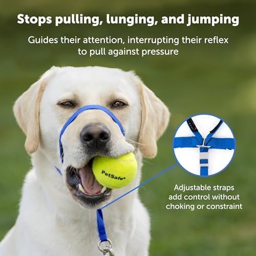 PetSafe Gentle Leader No-Pull Dog Headcollar - The Ultimate Solution to Pulling - Redirects Your Dog's Pulling for Easier Walks - Helps You Regain Control - Large, Charcoal