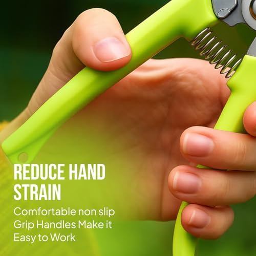 2-Pack Stainless Steel Gardening Scissors, Pruning Shears and Clippers for Gardening