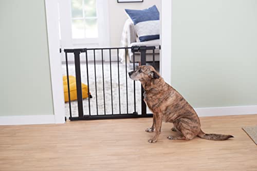 Safety 1st Easy Install 28'' Walk Thru Gate, Fits Between 29'' and 38'', Black, 1-Pack,(GA105CBLK)