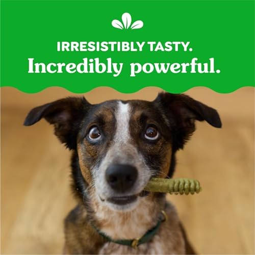 Greenies Regular Dental Dog Treats, 3-Flavor Variety Pack, (3) 12 oz. Pouches, 36 Total Treats