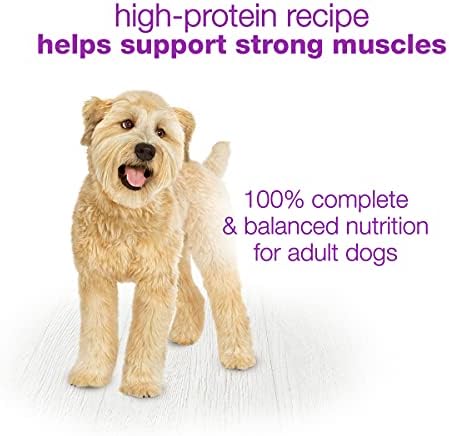 Purina Beneful Wet Dog Food Variety Pack, Chopped Blends - (12) 10 oz. Tubs