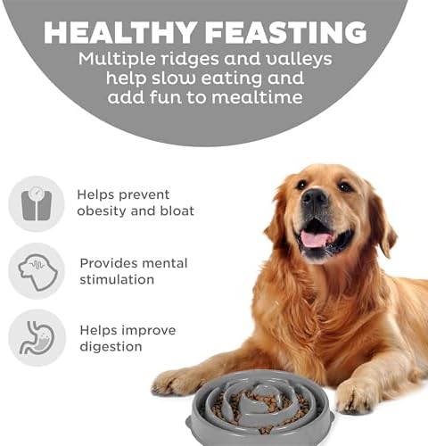 Outward Hound Fun Feeder Slo Bowl, Large Slow Feeder Dog Bowl, 4 Cups, Gray