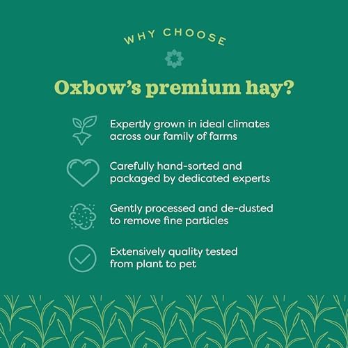 Oxbow Western Timothy Hay for Small Pets – All-Natural Grass Hay for Rabbits, Guinea Pigs, and Chinchillas – High Fiber for Digestive Health and Dental Support – 40 oz Bag