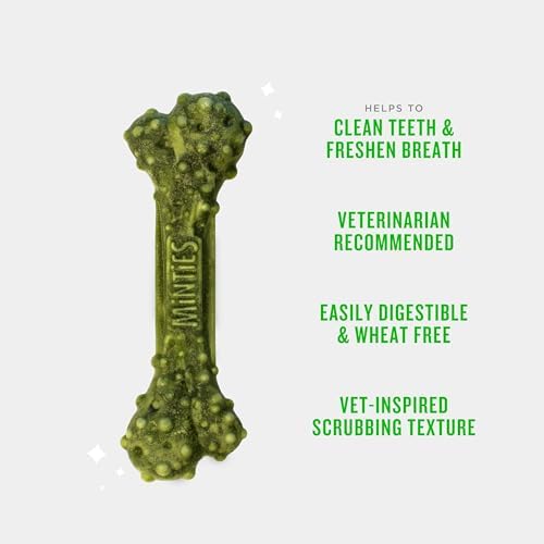 Minties Dental Chews for Dogs, 60 Count, Vet-Recommended Mint-Flavored Treats for Medium Dogs 25-50 lbs, Bones Clean Teeth, Fight Bad Breath, and Removes Plaque and Tartar