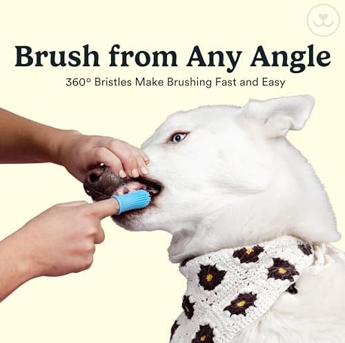 Jasper Dog Toothbrush, 360 Dog Tooth Brushing Kit, Finger Toothbrush, Cat Tooth Brush, Teeth Cleaning, Pet Tooth Brush for Small & Large Pets, Pet Toothpaste Not Included, 2-Pack Blue