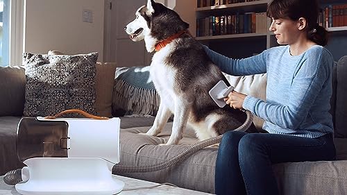AIRROBO Dog Grooming Vacuum, Dog Grooming Kit,12000Pa Strong Pet Vacuum, 2L Large Capacity Vacuum for Shedding Grooming Hair, Quiet,PG100