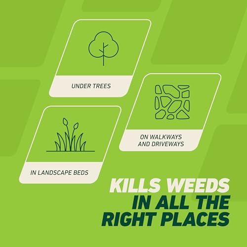 Ortho GroundClear Weed and Grass Killer with Comfort Wand, Kills Dandelions, Chickweed, Crabgrass, Moss and More in Patios and Landscapes, OMRI Listed, 1 gal.