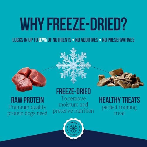 Stewart Single Ingredient Freeze Dried Raw Dog Treats, Beef Liver, 21 Ounce Value Size, Approx. 475 Pieces per Resealable Tub, Training Treats or Meal Topper, High Protein, Grain Free, Gluten Free