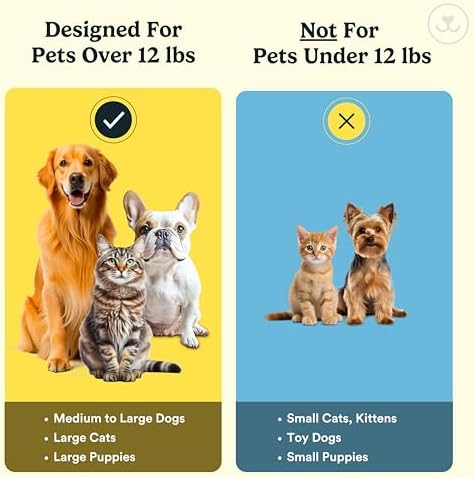 Jasper Dog Toothbrush, 360 Dog Tooth Brushing Kit, Finger Toothbrush, Cat Tooth Brush, Teeth Cleaning, Pet Tooth Brush for Small & Large Pets, Pet Toothpaste Not Included, 2-Pack Blue