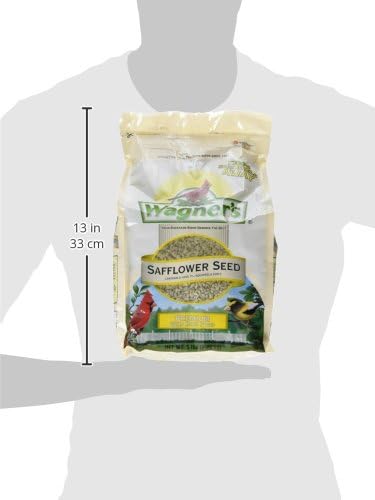Wagner's 57075 Safflower Seed Wild Bird Food, 5 Pound (Pack of 1)