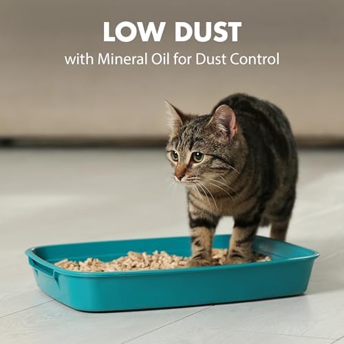 ARM & HAMMER Naturals Clumping Cat , Litter Odor Control, Multi Cat Litter, 18 lb. Bag