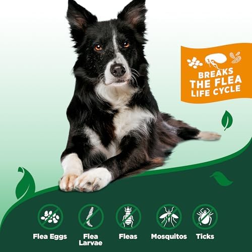 Vet's Best Natural Indoor Flea and Tick Spray – Dog Flea and Tick Treatment for Home, Plant-Based Formula with Natural Oils, Kills Fleas, Eggs & Ticks on Contact, Made in USA, 32 oz