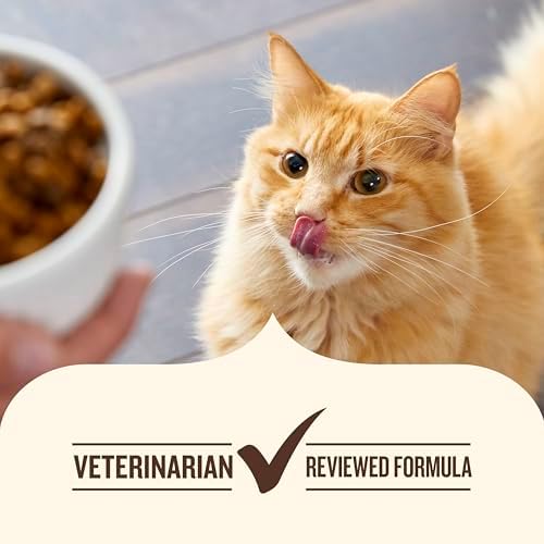 Nutrish Indoor Complete Premium Natural Dry Cat Food, Chicken with Lentils & Salmon Recipe, 14 Pounds (Packaging May Vary)