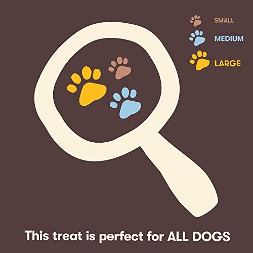 Pet 'n Shape Chik 'n Hide Twists – Chicken Wrapped Rawhide Natural Dog Treats, Small, 16 oz