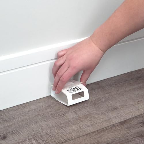 S&T INC. Insect Traps, 60 Count, Glue Traps for Brown Recluse, Hobo Spiders, Black Widows, Use in Home, Basement or Garage, or Utility Rooms for Pest Control