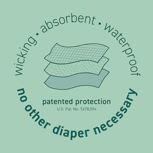 green sprouts Pull-up Reusable Absorbent Swim Diaper, Aqua Simple Dino, 24 Months