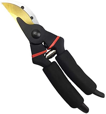 gonicc 8" Professional Premium Titanium Bypass Pruning Shears (GPPS-1003), Hand Pruners, Garden Clippers.