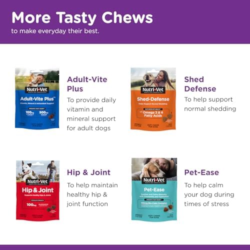 Nutri-Vet Pre & Probiotics for Dogs, Digestive Support, Upset Stomach, Puppy Probiotic, Pet Vitamins and Supplements, Dog Probiotics, Liver & Cheese Flavor, 120 Soft Chews