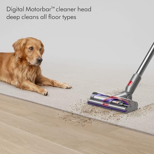 Dyson 448182-02 V15 Detect SV47 (Renewed)