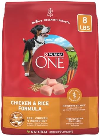 Purina ONE Chicken and Rice Formula Dry Dog Food - 8 lb. Bag