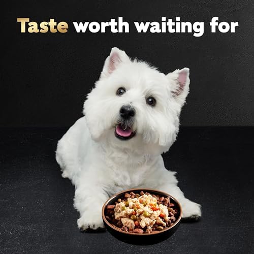 Cesar Simply Crafted Adult Wet Dog Food Meal Topper, Chicken, 1.3 oz. (10 Count, Pack of 1)