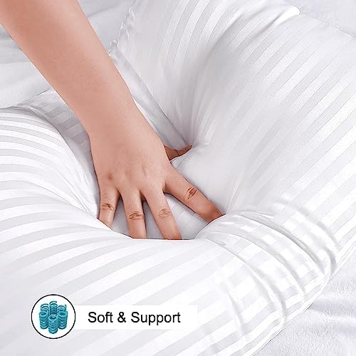EIUE Hotel Collection Bed Pillows for Sleeping 2 Pack Queen Size,Pillows for Side and Back Sleepers,Super Soft Down Alternative Microfiber Filled Pillows,20 x 30 Inches