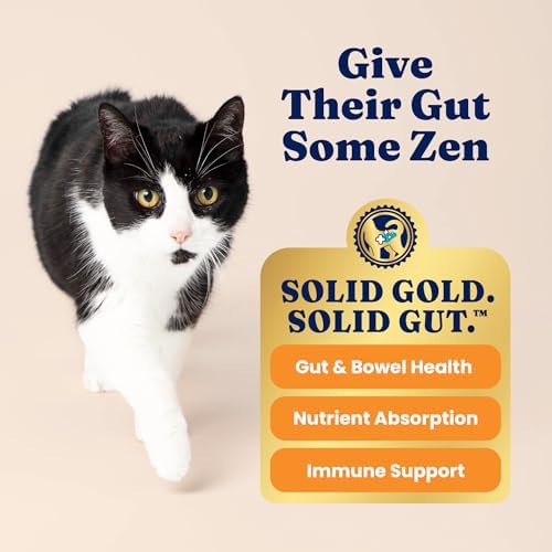Solid Gold High Protein Dry Cat Food - Grain Free & Gluten Free Chicken Cat Dry Food w/Probiotics for Gut Health & Digestion - High Fiber & Omega 3 - Low Carb Superfood Kibble for Cats All Ages - 6LB