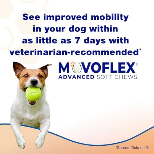 Advanced Soft Chews Hip and Joint Support Supplement for Medium Dogs 60 Count by Virbac