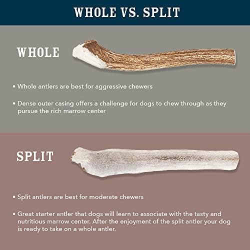 Amazon Brand - Wag Split Elk Antler, Naturally Shed, Long Lasting for Aggressive Chewers, Medium (Best for Dogs 15-30 lbs)