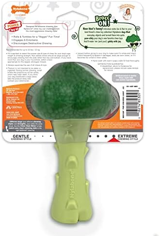 Nylabone Broccoli Power Chew Toy for Dogs, Dog Toys for Aggressive Chewers, Bacon & Cheese Flavor, Large Dogs - Up to 50 lbs, 1 Count