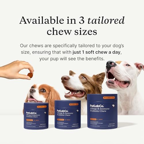PetLab Co. Allergy & Immune Daily Probiotics for Dogs. Supports Yeast Production, Seasonal Allergies, Intermittent Itchiness, Gut & Digestive Health - 30 Chews for Small Dogs - Packaging May Vary