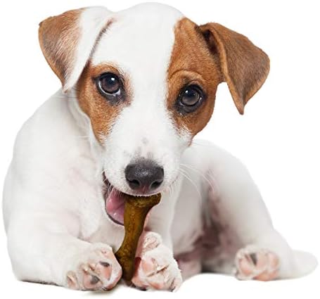 Nylabone Healthy Edibles WILD Natural Dog Chew Treats for Small Dogs, Long Lasting Dog Healthy Chew Bones Made in USA, Bison Flavor, For Dogs Up to 25 lbs. (8 Count)