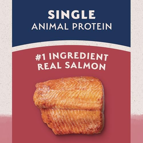 Natural Balance Limited Ingredient Adult Dry Dog Food with Healthy Grains, Salmon & Brown Rice Recipe, 24 Pound (Pack of 1)