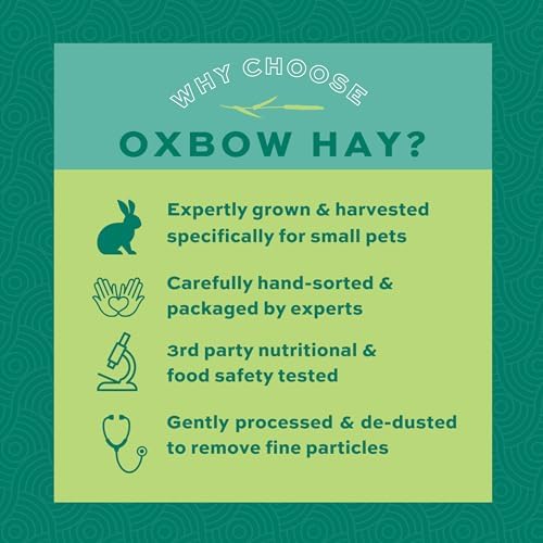 Oxbow Western Timothy Hay for Small Pets – All-Natural Grass Hay for Rabbits, Guinea Pigs, and Chinchillas – High Fiber for Digestive Health and Dental Support – 40 oz Bag