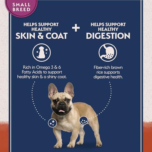 Natural Balance Limited Ingredient Small Breed Adult Grain-Free Dry Dog Food, Salmon & Sweet Potato Recipe, 12 Pound (Pack of 1)
