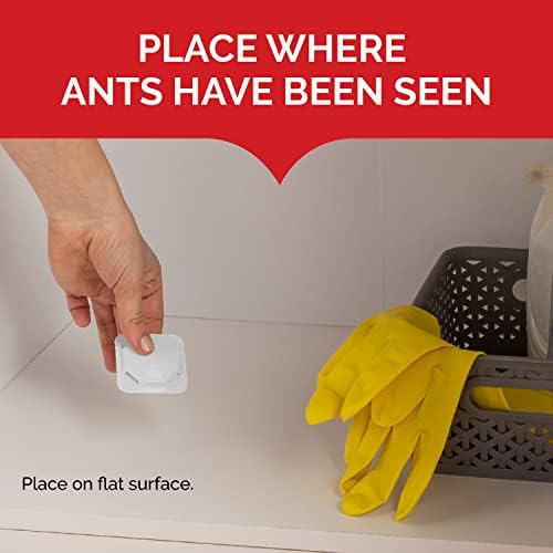 Hot Shot MaxAttrax Ant Bait, 0.07 oz Bait Stations, 4 Count, 12 Pack