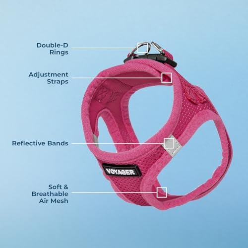 Best Pet Supplies Voyager Step-in Air Dog Harness - All Weather Mesh, Reflective, No Pull Harness for Small, Medium Dogs, Cats - Secure with Hook & Loop Fastener, Buckle, Double D-Rings - Fuchsia, M