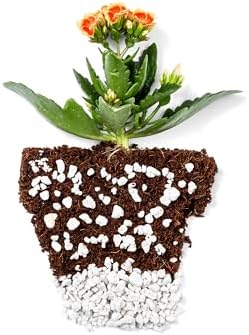 Perlite Bliss (24 Qts) - Organic Perlite for Plants - Coarse Perlite Bulk Soil Amendment - Chunky Perlite for Plants, Potting Soil, Garden Soil, & Coco Coir - Horticultural Perlite for Gardening