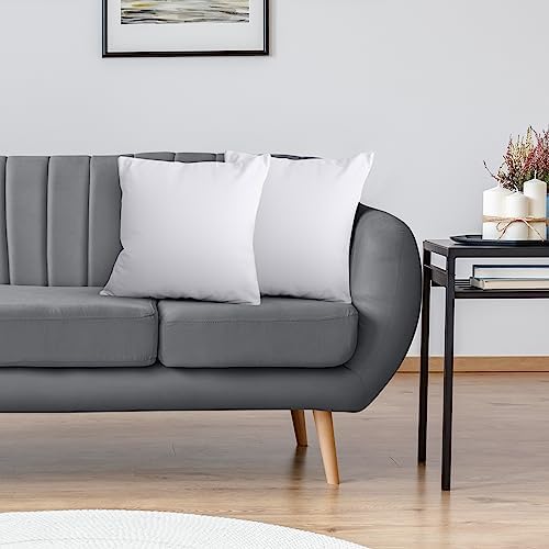 Utopia Bedding Throw Pillows Insert, Bed and Couch Pillows - Indoor Decorative Pillows (White, 18x18 Inch)