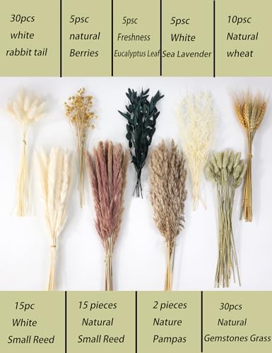 126pcs Dried Pampas Grass Decorations, Dried Flowers, Dried Bouquet in Vase, Reed Grass Bouquet for Bohemian Floral Home Wedding, Table Centerpieces, Rustic Farmhouse Decor. (Vase Not Included)