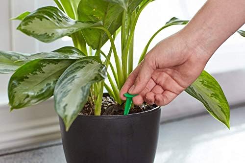 Scotts Indoor Plant Food Spikes, Includes 48 Spikes - Continuous Feeding for all Flowering and Foliage Houseplants - NPK 6-12-6, 48 Count (Pack of 12)